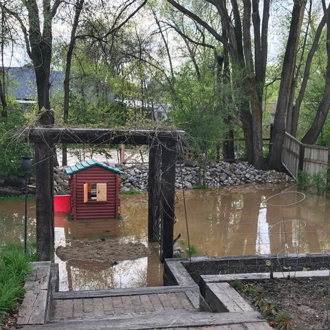 Grab Your Galoshes! Steps To Recovering After A Flood